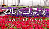 マルトヨ農場